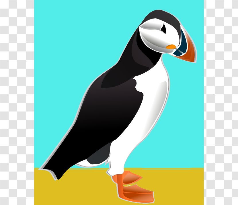 Atlantic Puffin Bird Penguin Horned Tufted - Royaltyfree - Cliparts Transparent PNG