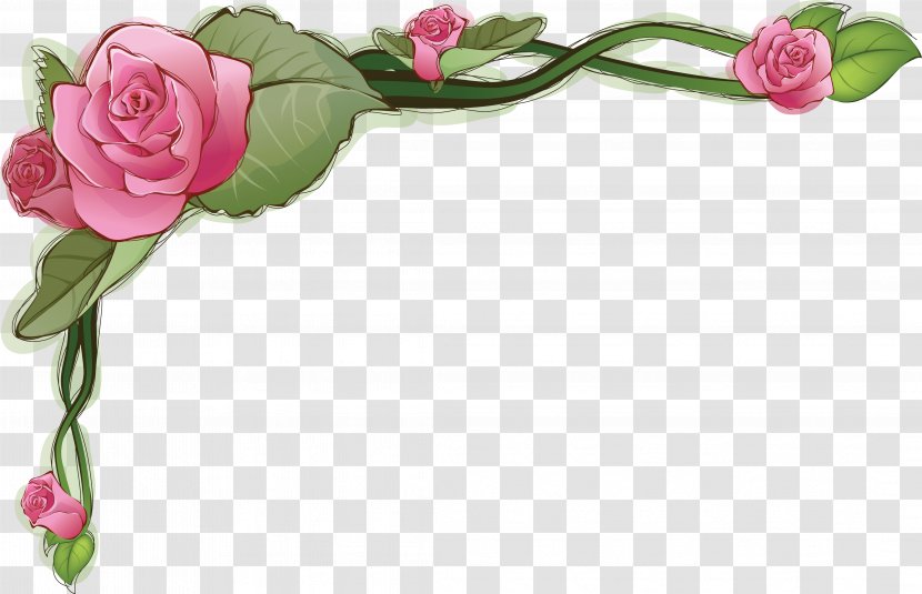 Flower Rose Picture Frames Paper Clip Art - Rosa Centifolia - Roses Frame Transparent PNG