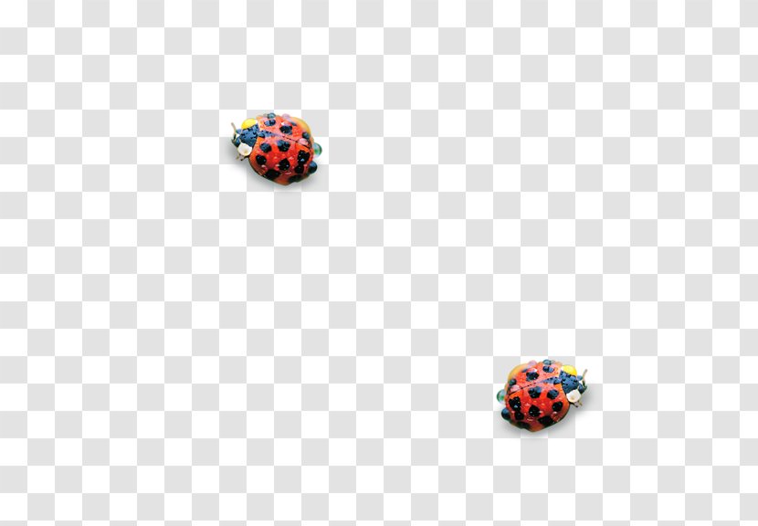 Euclidean Vector Icon - Capsicum Annuum - Ladybug Transparent PNG