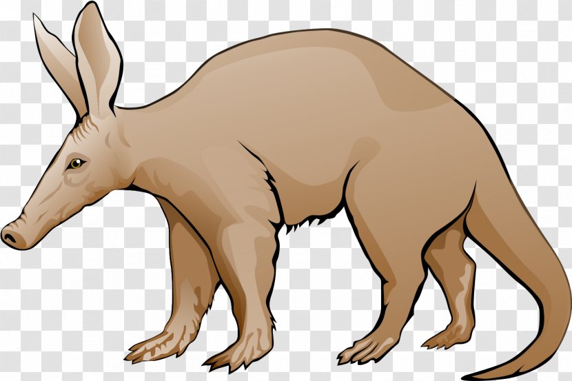 Animal Cartoon - Aardvark - Line Art Snout Transparent PNG