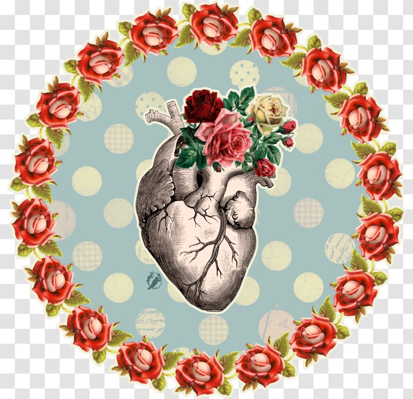 Anatomy Heart Drawing - Fruit - ContemporaryBackground Transparent PNG