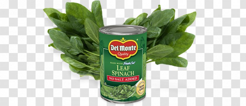 Spinach Product Herb - Burrito Transparent PNG