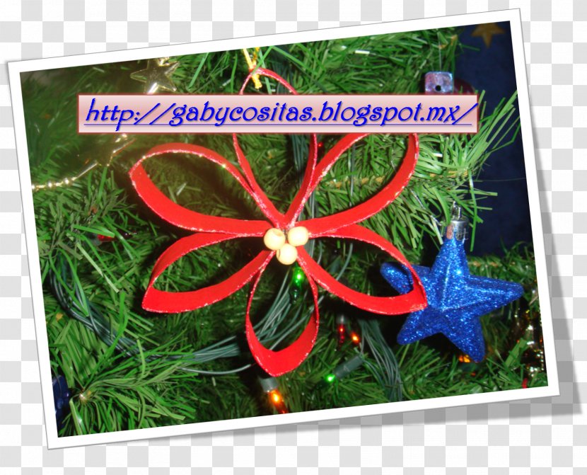 Toilet Paper Scroll Christmas Eve Flower - Plant Transparent PNG