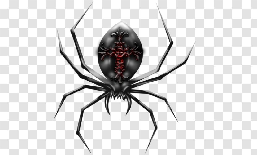 Widow Spiders Insect STX G.1800E.J.M.V.U.NR YN Pest - Arthropod Transparent PNG