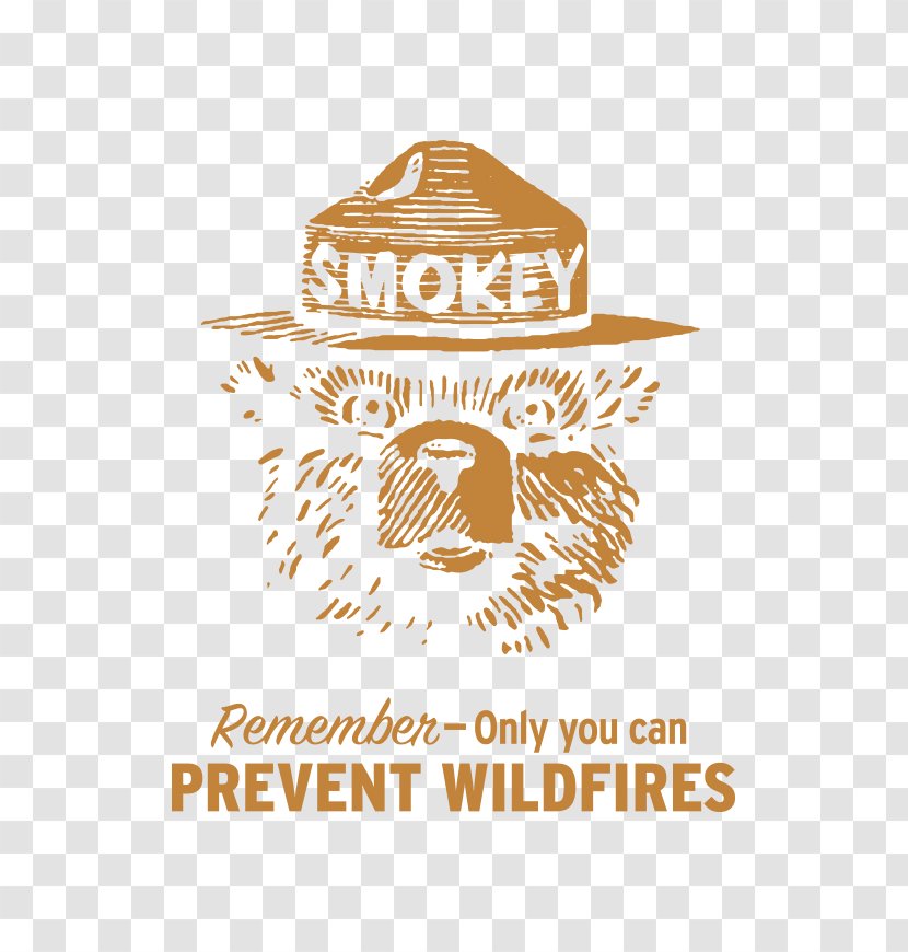 Smokey Bear Advertising Campaign United States Forest Service - Heart Transparent PNG