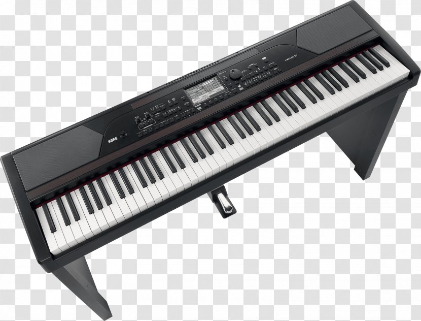 KORG Havian 30 Keyboard Digital Piano Electric - Silhouette Transparent PNG