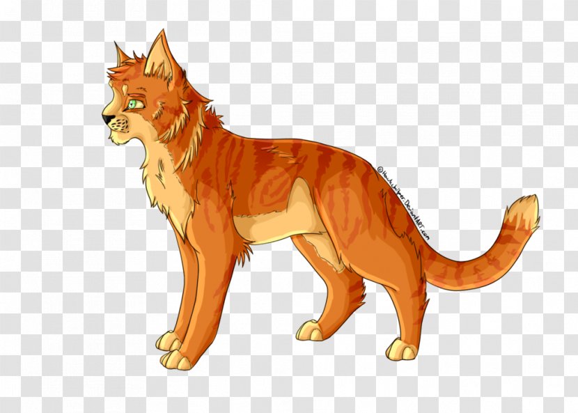 Lion Red Fox Big Cat Terrestrial Animal - Small To Medium Sized Cats Transparent PNG