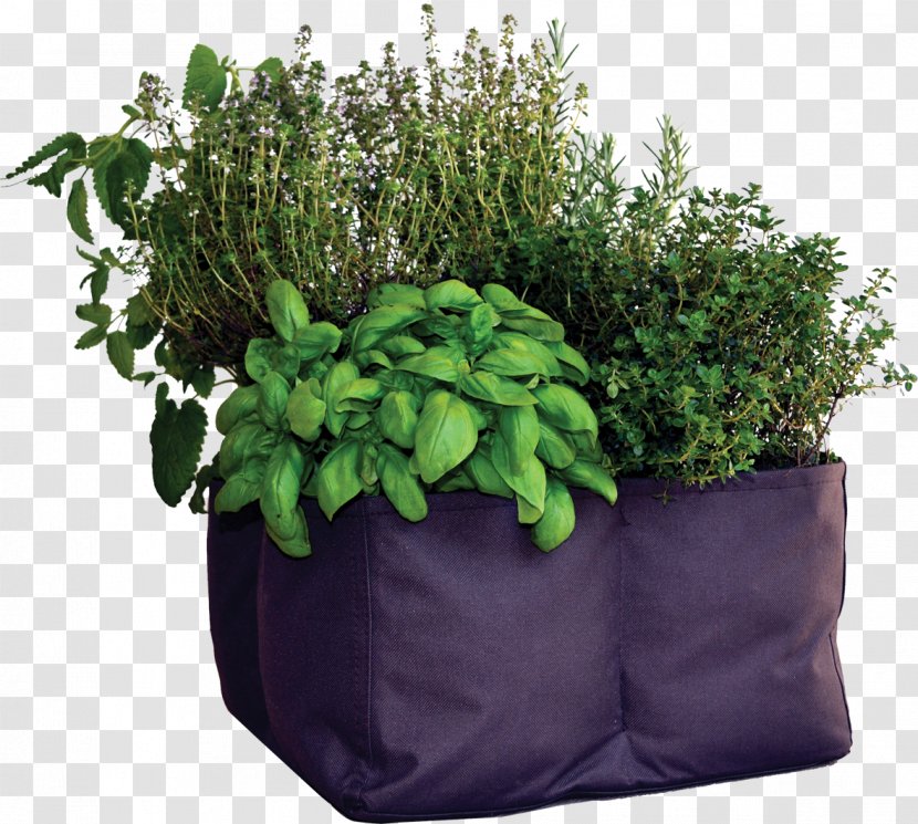 Herb Flowerpot - Herbes Transparent PNG