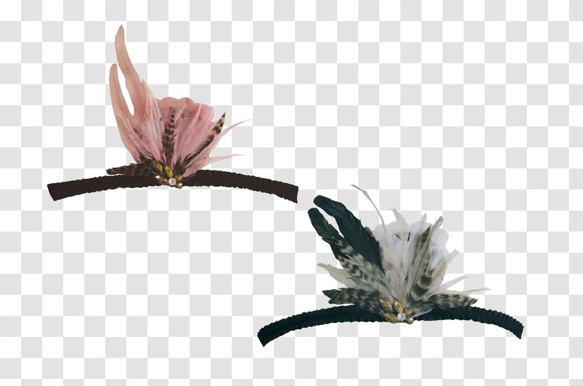 Flower - Insect Transparent PNG