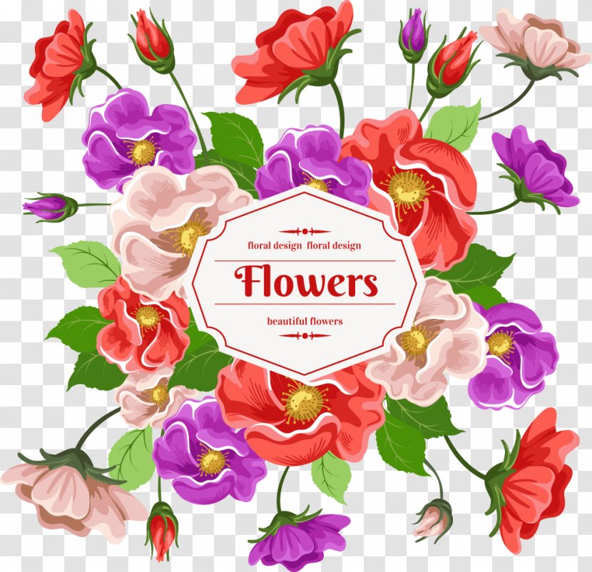 Cartoon Download - Magenta - Vector Flowers Card Design Transparent PNG