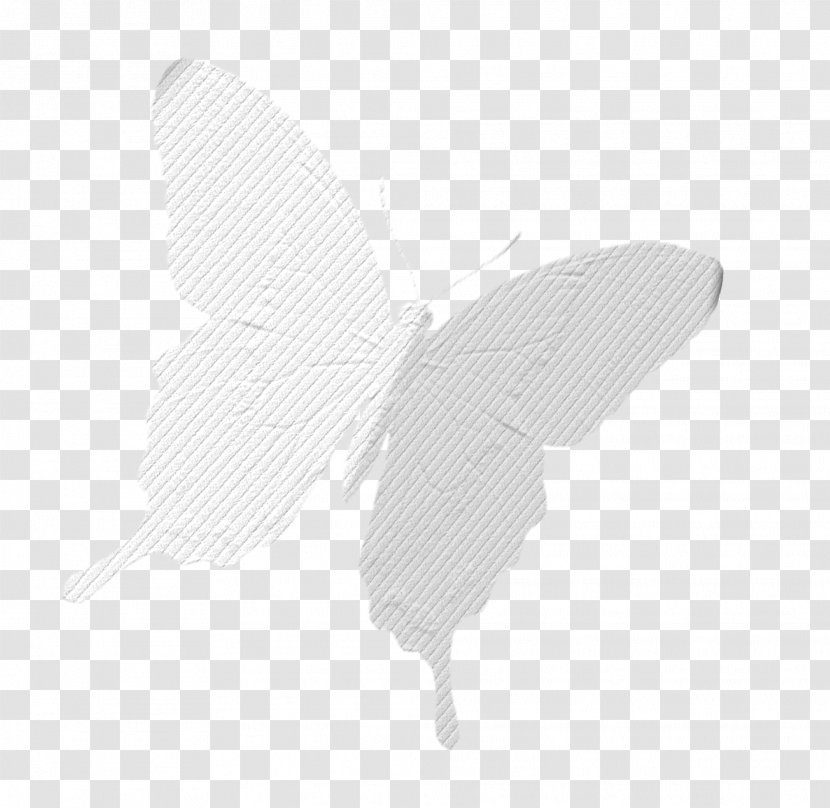 Butterfly Moth White - Texture Transparent PNG
