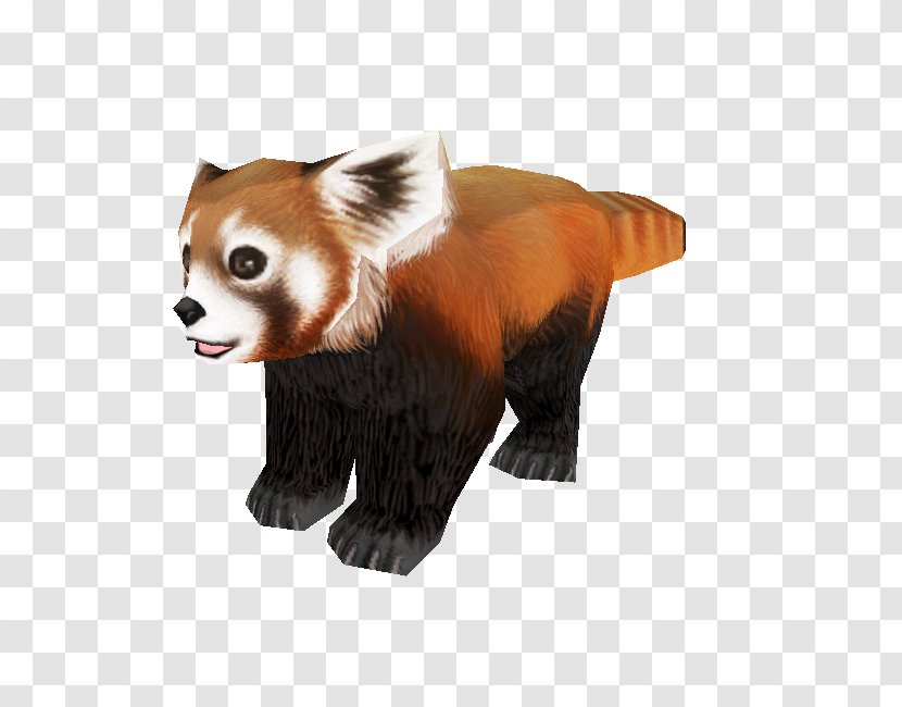 Red Panda Bear Giant Fur Snout Transparent PNG