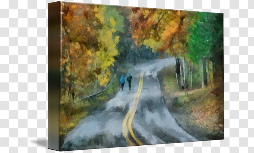 Watercolor Painting Water Resources Waterfall Forest - Tree - Autumn Road Transparent PNG