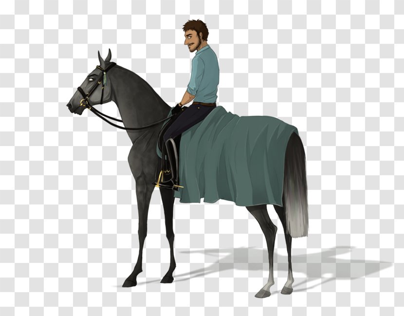 Stallion Rein Hunt Seat Mustang Mare - Equestrian Sport Transparent PNG