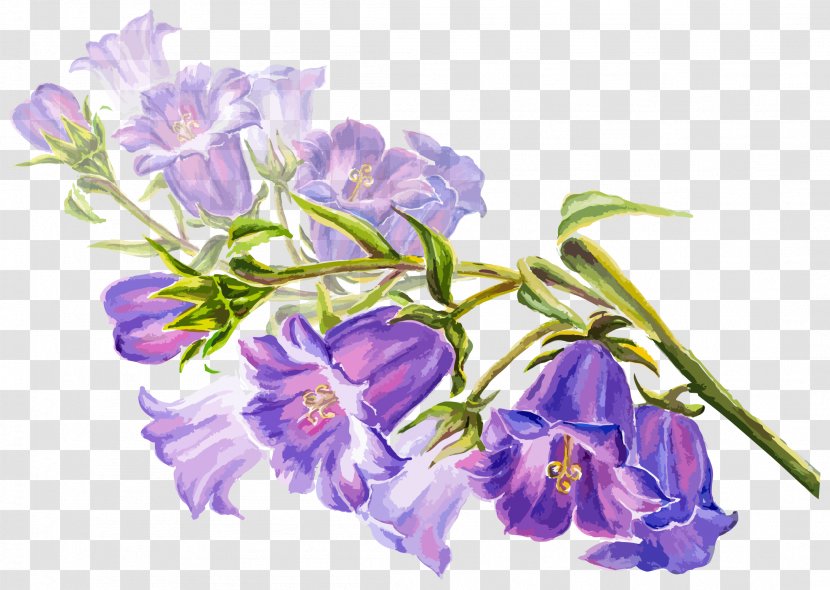 Watercolor Painting Flower Drawing Stock Illustration - Heart - Hand Painted Purple Trumpet Vector Transparent PNG