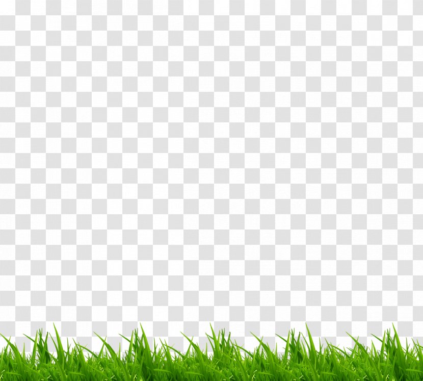 Green Grass - Lawn Transparent PNG