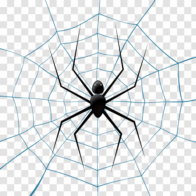 Spider Web Theridiidae Euclidean Vector Illustration - Point Transparent PNG