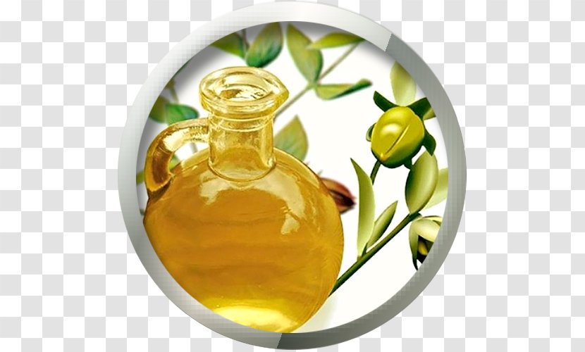 Jojoba Oil Lotion Skin Care - Facial Transparent PNG