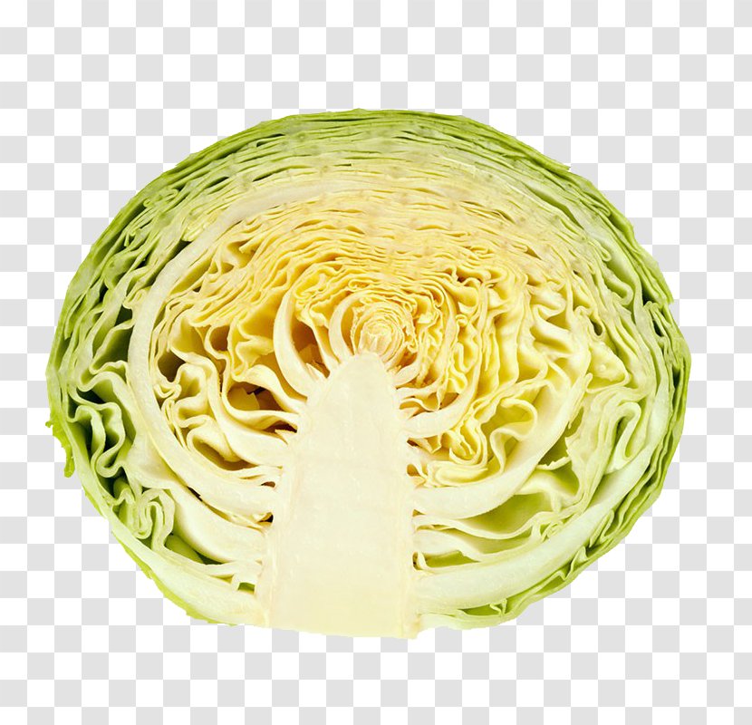 White Cabbage Bratwurst Photography Chinese - Leaf Vegetable - Cross-section Of Transparent PNG