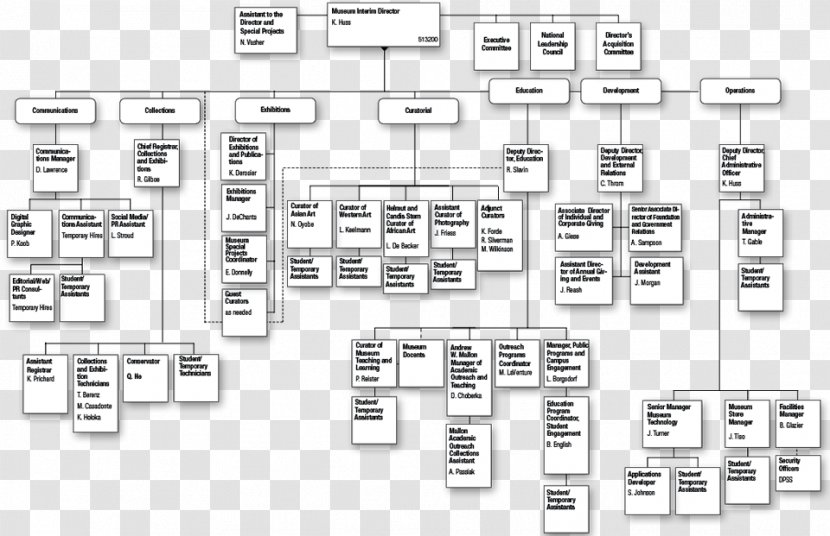 Organizational Chart University Of Michigan Museum Art Structure - Organization - Spg Transparent PNG