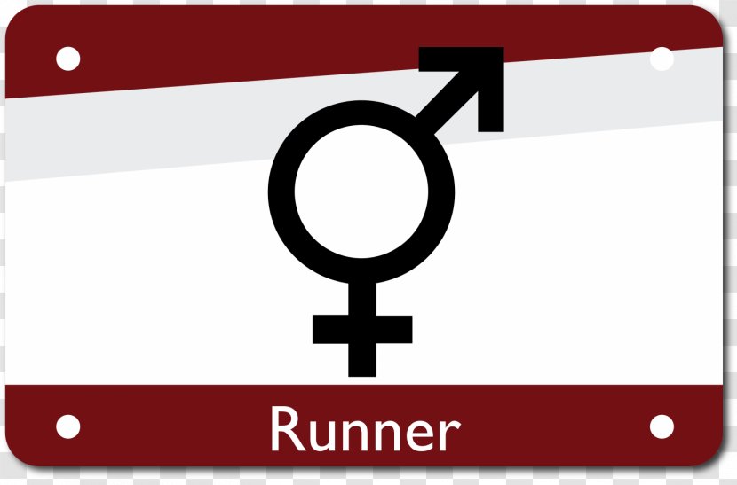 LGBT Symbols Gender Symbol Transgender - Rectangle Transparent PNG