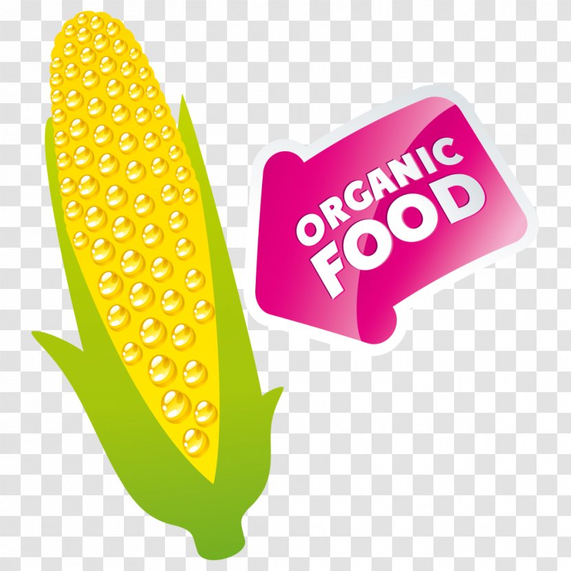 Organic Food Euclidean Vector Icon - Corn Transparent PNG