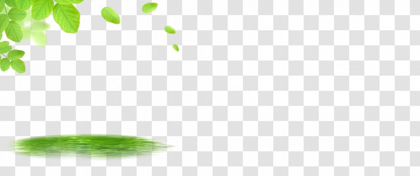 Green Pattern - Rectangle - Leaf Transparent PNG