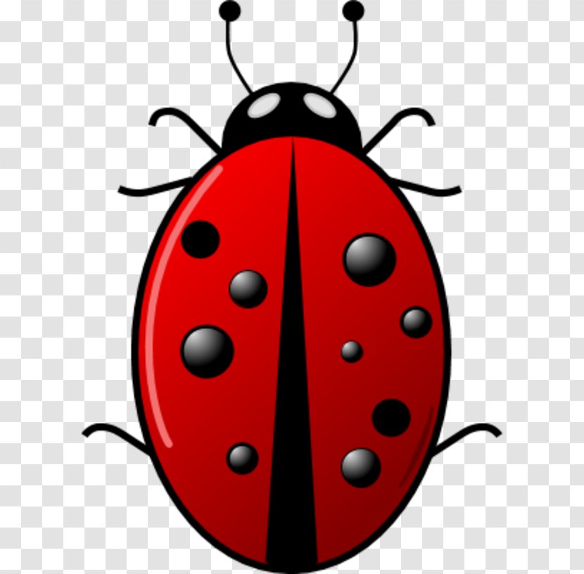 Beetle Ladybird Green Clip Art - Cartoon Ladybug Clipart Transparent PNG