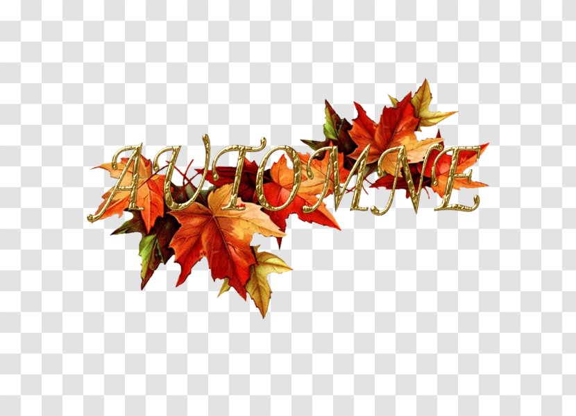 Clip Art Image Drawing Autumn - Painting - Diddl Transparent PNG