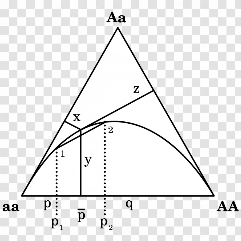 De Finetti Diagram Hardy–Weinberg Principle Genotype Frequency Ternary Plot - Symmetry - Triangle Transparent PNG