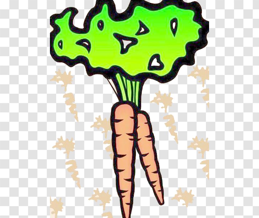Cartoon Vegetable Illustration - Auglis - Carrot Transparent PNG