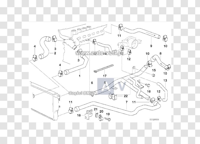 BMW 5 Series Car 7 Diagram - Bmw E39 Transparent PNG