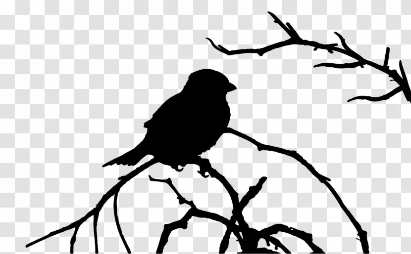 American Crow Bird Silhouette Clip Art - Organism Transparent PNG