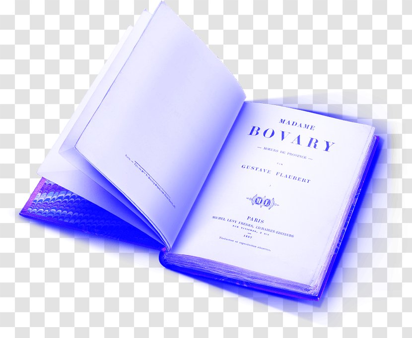 Madame Bovary Publishing Hachette Livre Bokförlag Literature - Masterpiece - Charlesaugustin De Coulomb Transparent PNG