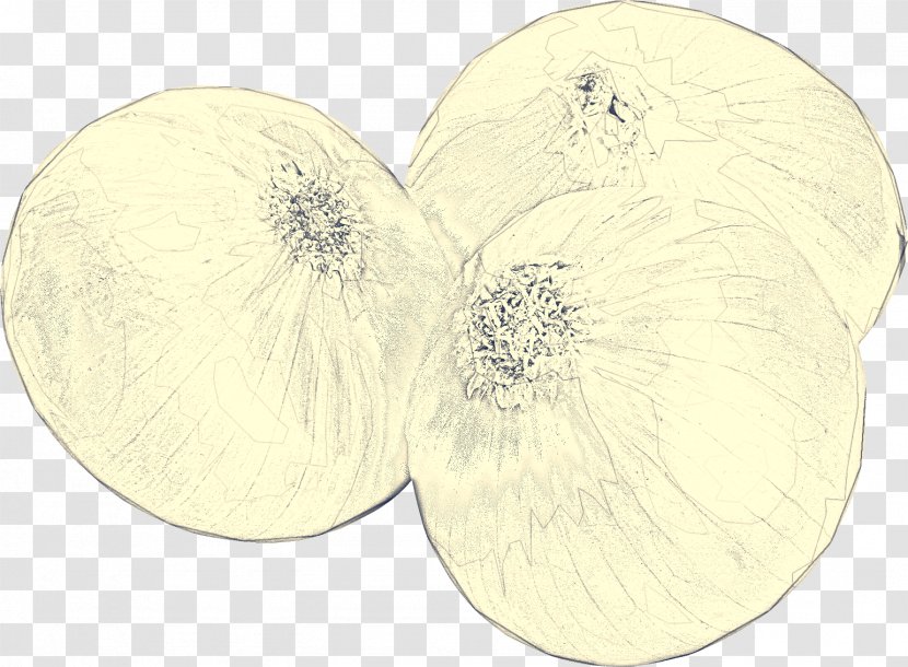 Fruit Tree - Leaf - Onion Beige Transparent PNG