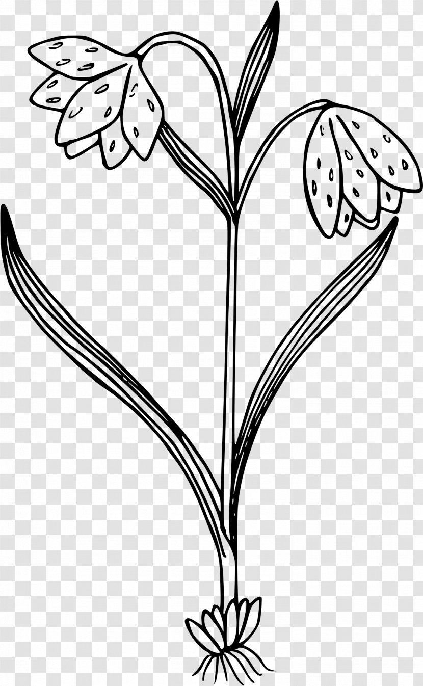 Black And White Wildflower Clip Art - Cartoon - Flower Transparent PNG