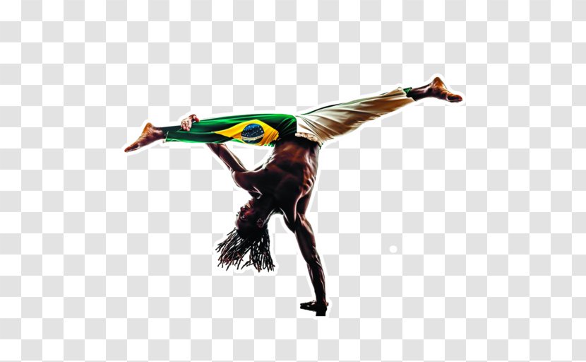 Capoeira Historical European Martial Arts Stock Photography - Banco De Imagens Transparent PNG