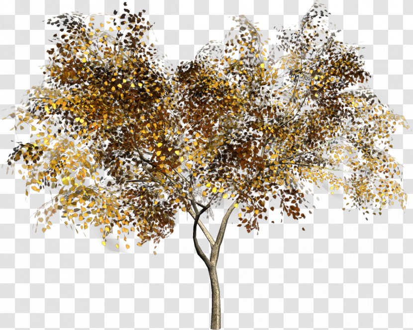 Twig Clip Art Tree Adobe Photoshop - Plant Transparent PNG