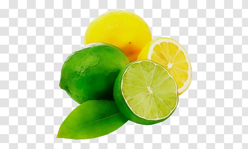 Lime Citrus Persian Key Lemon - Fruit - Citric Acid Green Transparent PNG