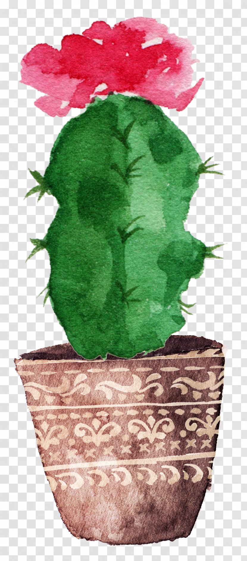 Cactaceae Watercolor Painting Drawing Canvas - Plant - Prickly Pear Cactus Bloom Transparent PNG