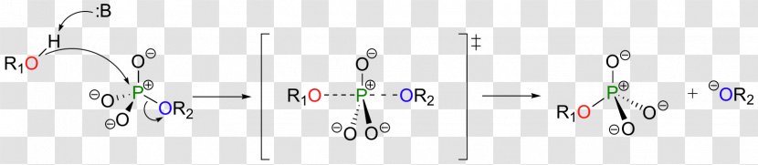 Logo Brand Line - Purple - Two Atoms Are Said To Be Isotopes If Transparent PNG