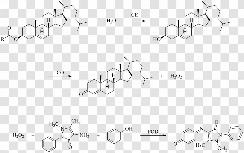 Chemistry Paper 0 Pattern Design - Animal - Colorimetria Transparent PNG