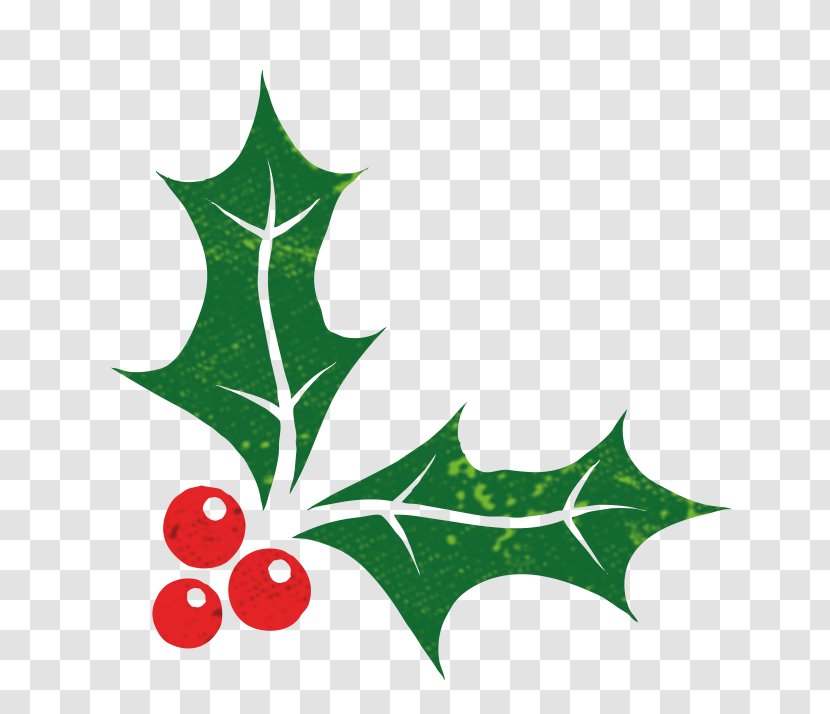 Christmas And New Year Background - Plant - Flower Hollyleaf Cherry Transparent PNG