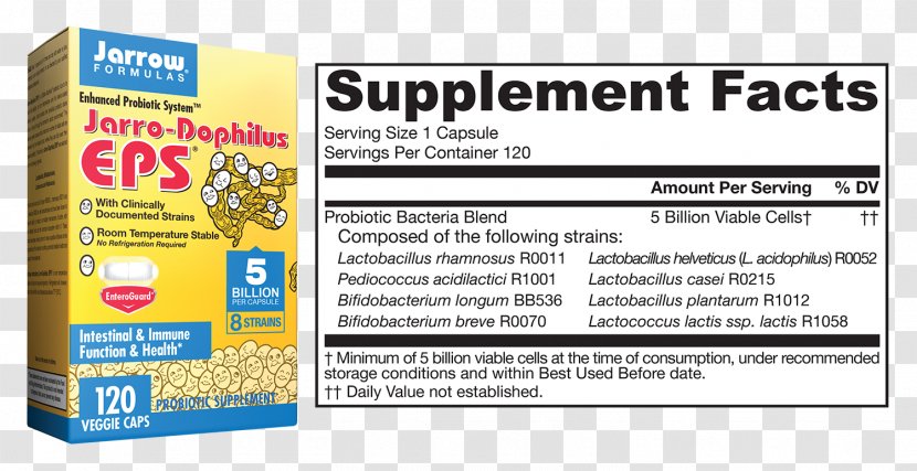 Probiotic Dietary Supplement Formula Intestine Capsule - Full Family Transparent PNG