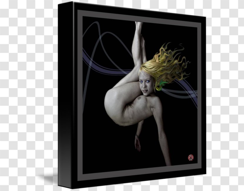 Picture Frames - Frame - Contortionist Transparent PNG