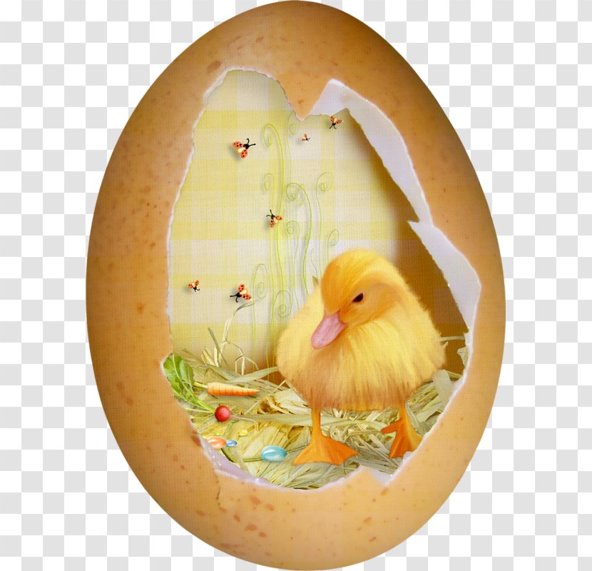Duck Easter Eggshell - Microsoft Paint - House Transparent PNG