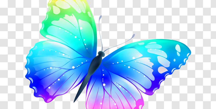 Butterfly Desktop Wallpaper Clip Art - Color - Colorful Transparent PNG