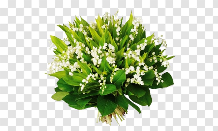 May 1 Lily Of The Valley International Workers' Day Blog - Flower Bouquet Transparent PNG