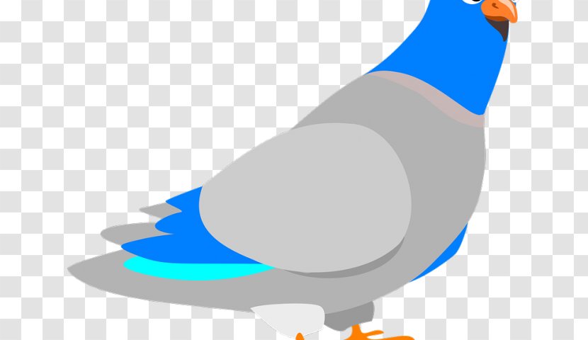 Homing Pigeon Pigeons And Doves English Carrier Racing Homer Fantail - Bird Transparent PNG
