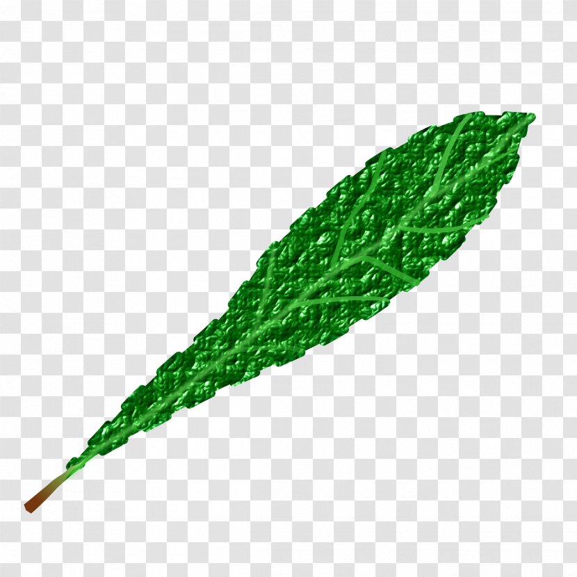 Leaf Clip Art - Plant - Green Leaves Transparent PNG
